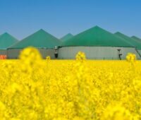 Das BMWK will laut Bundeswirtschaftsminister Habeck die Begrenzungen der jährlichen Maximalproduktion für Biogas aussetzen.