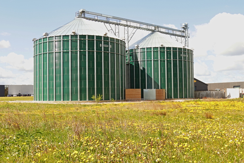 Biogas-Fermenter vor Blumenwiese - Symbolbild für Biomethan.