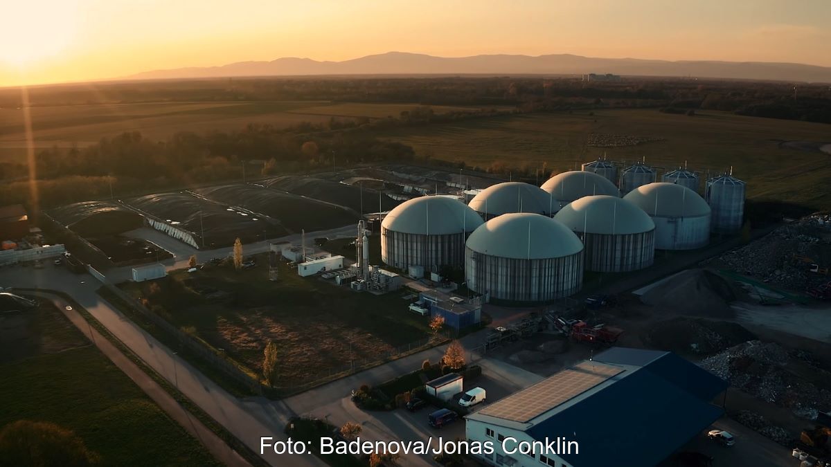 Eine Biogasanlage mit acht Fermentern bei tiefstehender Sonne, Hügelkette im Hintergrund.