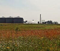 Biomethananlage mit Wiesen- und Blumenvordergrund