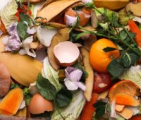 Biomüll mit Mandarine, Eierschalen und anderem - organischer Abfall als Basis für Biomethanol.