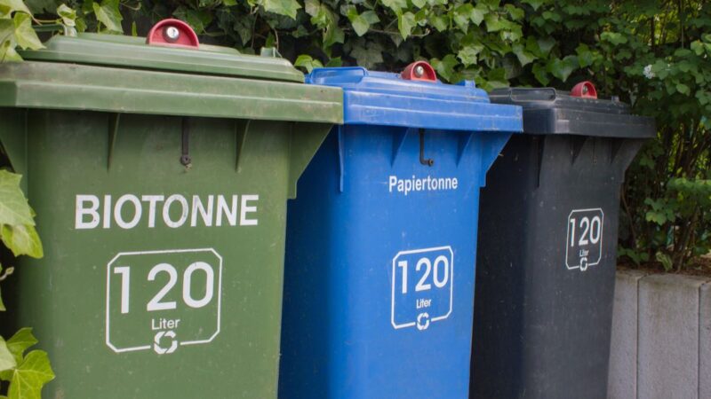 Mülltonnen nebeneinander: Biotonne für Biomüll, Papiertonne, Restmüll