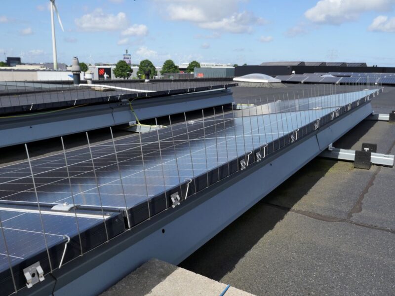 Flachdachanlage für Photovoltaik, ausgerüstet mit Edelstahlpins zum Schutz vor Vögeln.