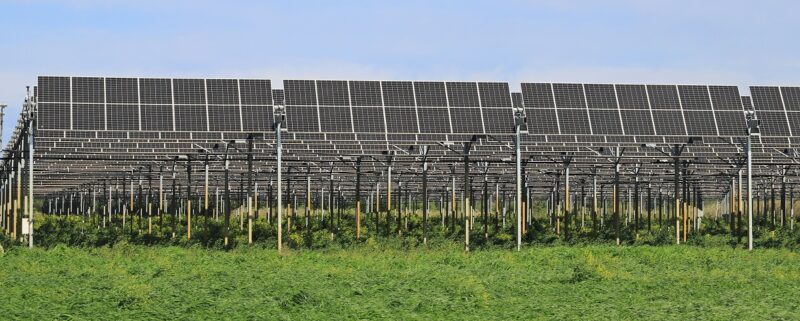 Im Bild eine Agri-Photovoltaik-Anlage, Brandenburg will Bürokratie abbauen.