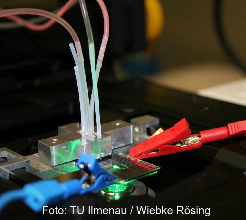 Eine Brennstoffzelle mit Anschlussklemmen im Labor.