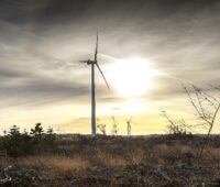 ZU sehen ist eine Vestas Windenergieanlage, eine ähnliche will die Bürgerenergiegenossenschaft Dörentrup-Wendlinghausen aufstellen.