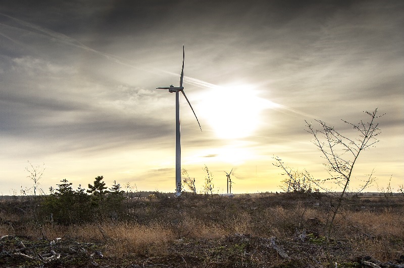 ZU sehen ist eine Vestas Windenergieanlage, eine ähnliche will die Bürgerenergiegenossenschaft Dörentrup-Wendlinghausen aufstellen.