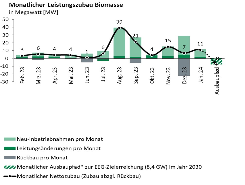 Im Bild ein Balkendiagramm mit dem Biomasse-Zubau im Januar 2024.