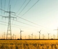 Windenergieanlagen und Strommasten auf Feldern im Flachland bei Sonnenauf- oder -untergang.