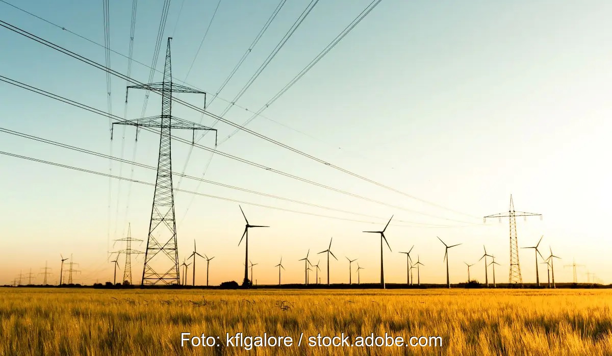 Windenergieanlagen und Strommasten auf Feldern im Flachland bei Sonnenauf- oder -untergang.