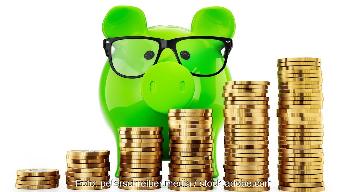 Im Bild ein Sparschwein und Geldmünzen als Symbol für die höhere Eigenkapitalverzinsung für Neuinvestitionen der Strom- und Gasnetzbetreiber.