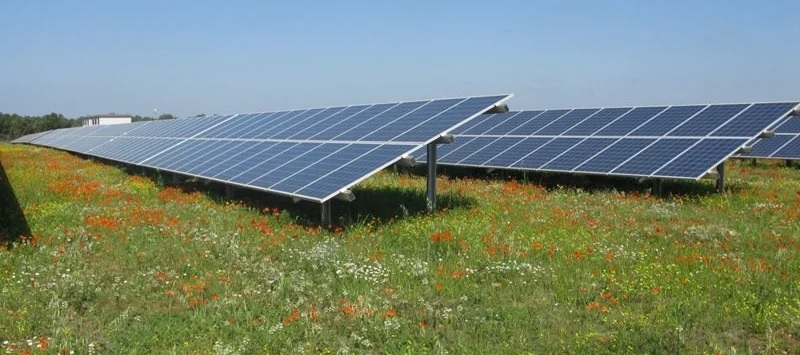 Die Landesregierung von Niederösterreich hat geregelt, in welchen Photovoltaik-Zonen Freiflächenanlagen mit mehr als zwei Hektar Größe errichtet werden dürfen.