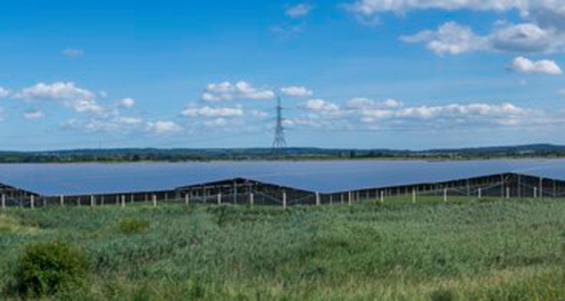 Eine Animation zeigt einen Solarpark auf grüner Wiese