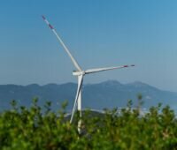 Hinter Baumwipfeln sind die Rotoren einer Windkraftanlage vor einer Bergkette zu sehen.