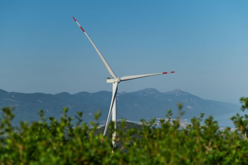 Hinter Baumwipfeln sind die Rotoren einer Windkraftanlage vor einer Bergkette zu sehen.