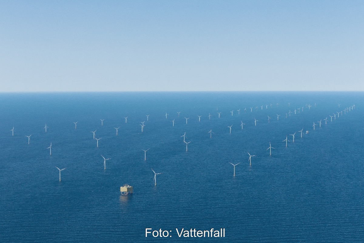 Luftbild eines Ofshore-Windparks.