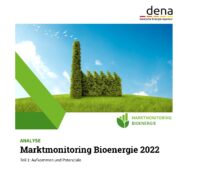 Die Deutsche Energie-Agentur (Dena) hat den ersten Bericht zum Marktmonitoring Bioenergie veröffentlicht.