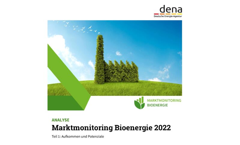 Die Deutsche Energie-Agentur (Dena) hat den ersten Bericht zum Marktmonitoring Bioenergie veröffentlicht.