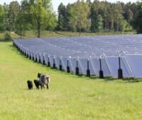 Zu sehen sind Sonnenkollektoren eines Solarheizwerkes die grüne Fernwärme liefern.