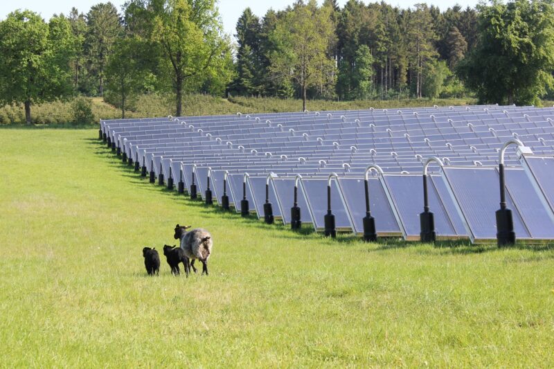 Zu sehen sind Sonnenkollektoren eines Solarheizwerkes die grüne Fernwärme liefern.