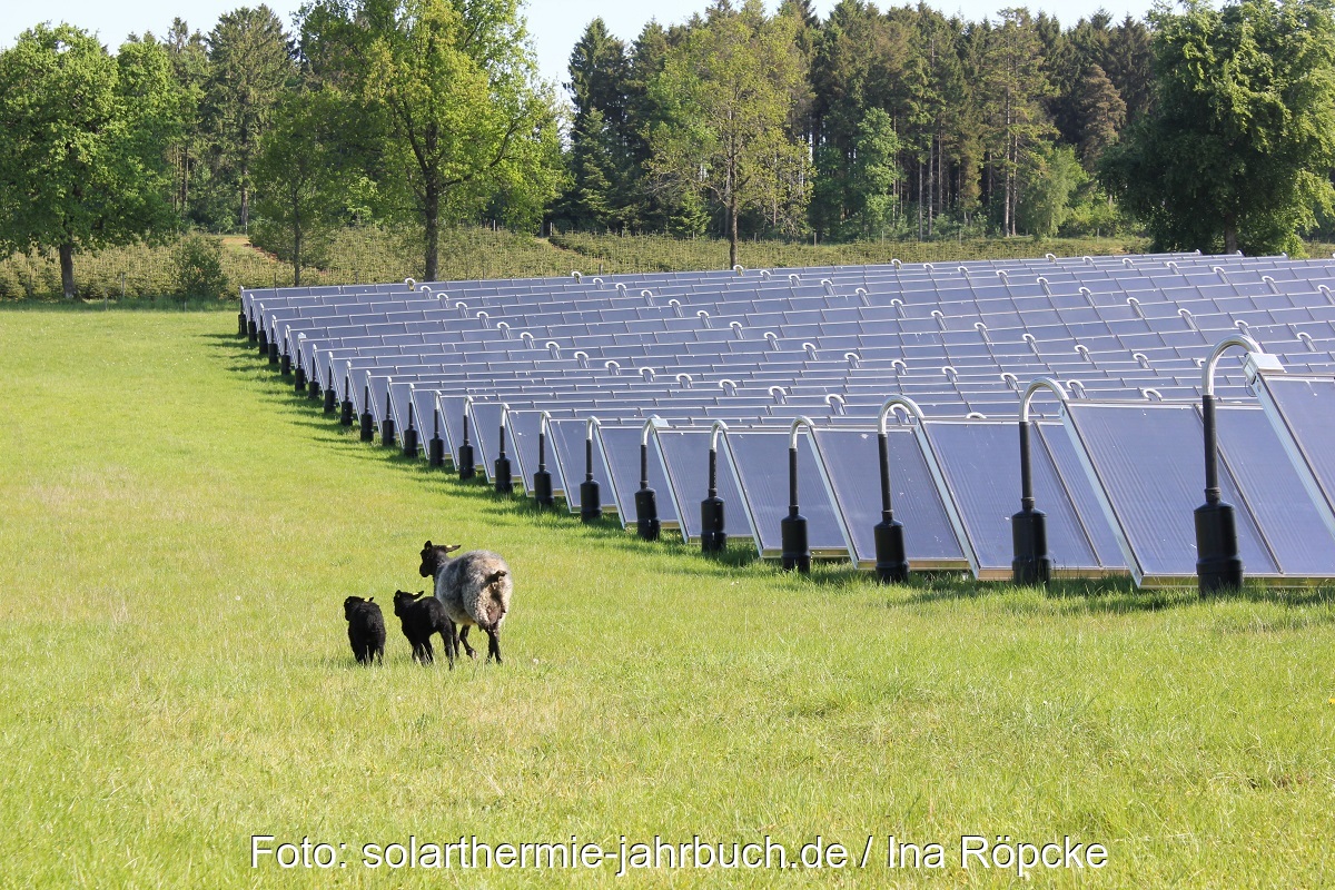 Zu sehen sind Sonnenkollektoren eines Solarheizwerkes die grüne Fernwärme liefern.