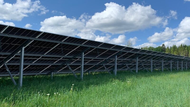 Auf dem Foto ist eine Reihe einer Photovoltaik-Freiflächenanlage auf Rasen zu sehen, aufgenommen von der Rückseite, so dass das Gestänge zu sehen ist.