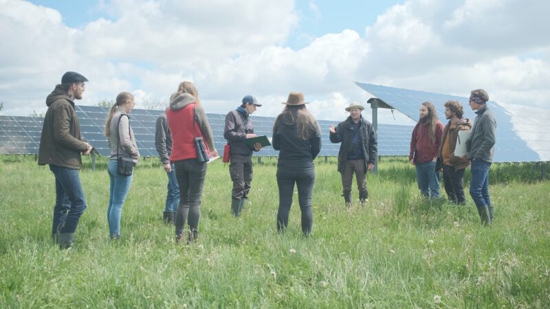 Zu sehen ist eine Gruppe von Student*innen des Projekts EULE inmitten einer Photovoltaik-Freiflächenanlage.