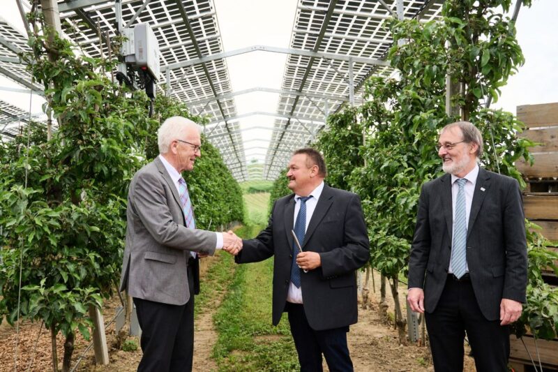 Zwei Männe rschütteln sich in einem Gewächshaus mit PV-Dach die Hände. Ein dritter steht daneben.