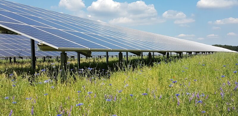 Zu sehen ist ein bereits umgesetztes Photovoltaik-Projekt. In Zukunft führt EnBW die Photovoltaik-Projekte von Procon Solar weiter.