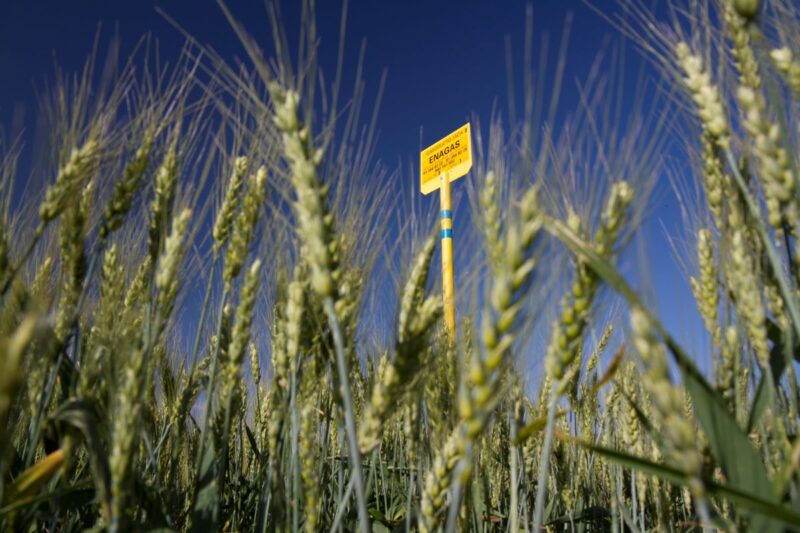 Kornfeld in Spanien mit Hinweisschild auf unterirdische Gaspipeline