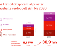 Grafik zeigt aktuelle und künftige Flexibilitätsoptionen zur Verschiebung des Stromverbrauchs für Haushalte wie E-Autos und Wärmepumpen.