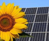 Eine Sonnenblumen-Gesellschaft, die sich am Stand der Sonne ausrichtet und daher wenig Speicher braucht, verspricht die beste Lösung der Klimakrise.