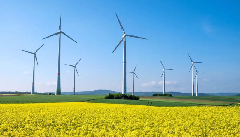 Im Bild ein Windpark, laut EEG muss die Standortgüte von Windparks nach fünf, zehn und fünfzehn Betriebsjahren überprüft werden.