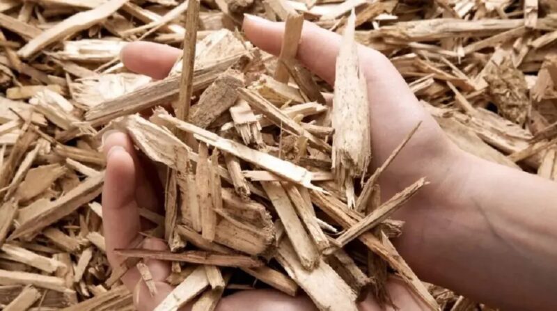 Zwei Hände greifen in Holzhackschnitzel - Holzenergie, Biomasse