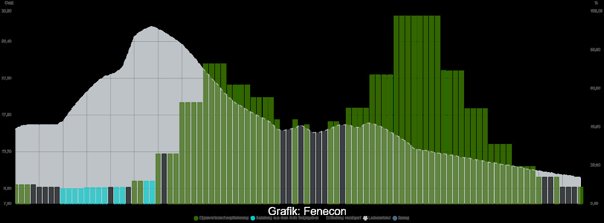 Grafik zeigt 24-Stunden-Energiefahrplan mit Zeiten für Beladung des Speichers sowie Verbrauch und Kosten.