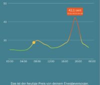 Zu sehen ist ein Display mit dem Verlauf vom Strom-Tarif für Smart-Meter über den Tag.