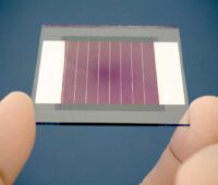 Ein Modul aus rötlichen organischen Solarzellen