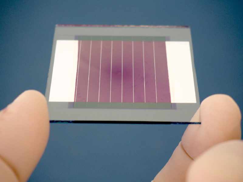 Ein Modul aus rötlichen organischen Solarzellen