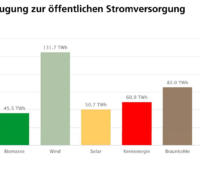 Zu sehen ist eine Grafik, die den Strommarkt in Deutschland 2020 zeigt.