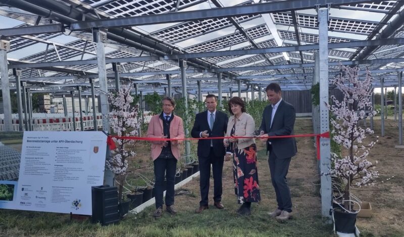 Im Bild Offzielle mit Baden-Württembergs Minister Peter Hauk, bei der Einweihung einer Versuchsanlage für das Projekt „Modellregion Agri-Photovoltaik für Baden-Württemberg“.