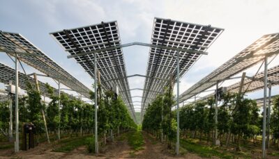 Im Bild eine Agri-Photovoltaik-Anlage, Landwirtschaftliche Betriebe sehen solche Anlagen positiv.