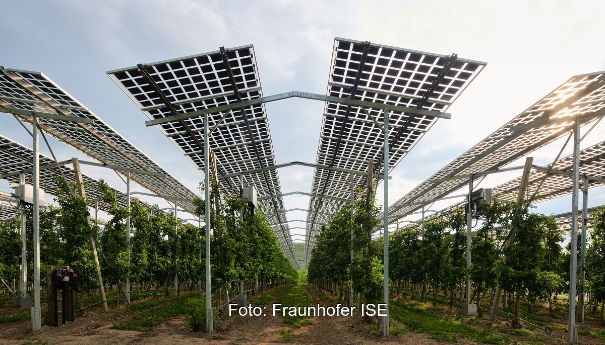 Im Bild eine Agri-Photovoltaik-Anlage, Landwirtschaftliche Betriebe sehen solche Anlagen positiv.