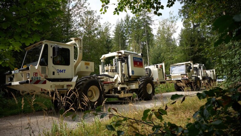 Drei helle Vibro-Trucks von DMT stehen hintereinander auf einem schmalen Weg in einem Waldstück.