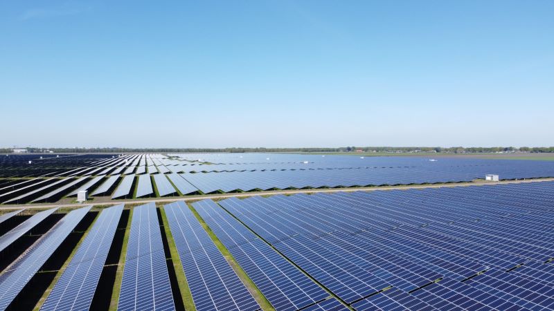 Solarmodule auf Flachland bis zum Horizont unter blauem Himmel.