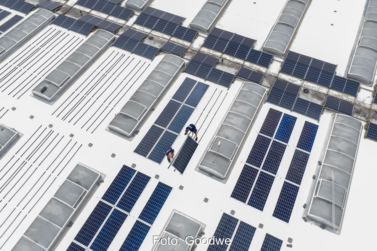Aus der Vogelperspektive ein Blick auf ein Industrie-Leichtdach. Hier montieren Arbeiter gerade die PV-Module