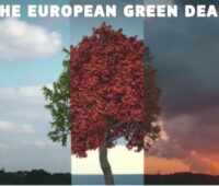 Ein Präsentationsbild mit Laubbaum im Zentrum für den EU Green Deal.