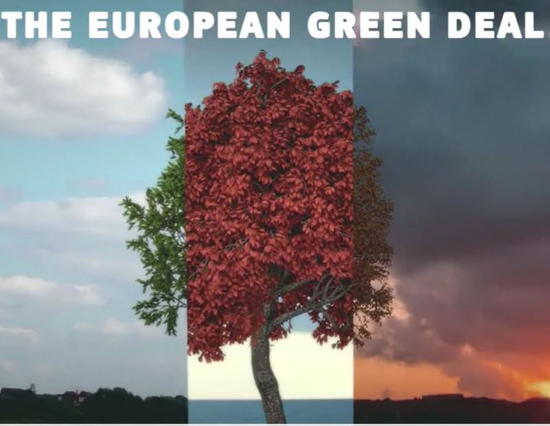 Ein Präsentationsbild mit Laubbaum im Zentrum für den EU Green Deal.