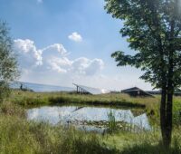 Zu sehen ist der Photovoltaik-Solarpark der Green City AG in Wachstedt. Das Unternehmen hat einen Insolvenzantrag gestellt.