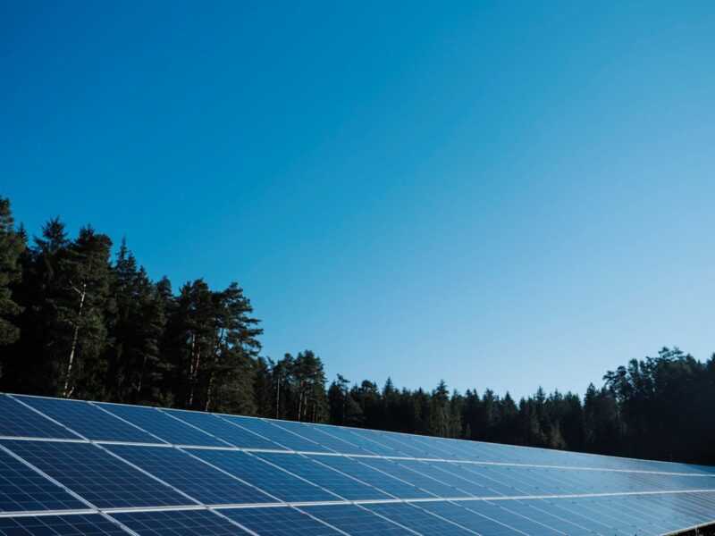 Freiflächensolarpark unter blauem Himmel.