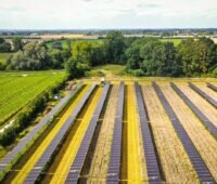 Eine Agri-PV-Anlage: zwischen den Modulreihen fährt eine Erntemaschine.